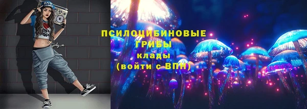 молекула духа Белая Холуница