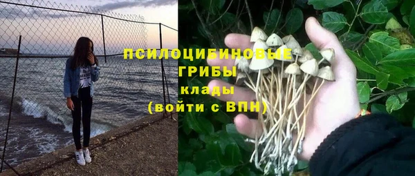 a pvp Михайловск