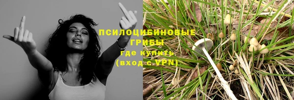 хмурый Михайлов